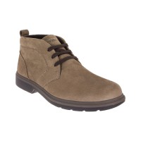 /album/galleria-foto-homepage-01/a6892400-1-jpg/